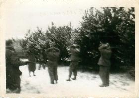 German prisoners at Bure with their hands on their heads.