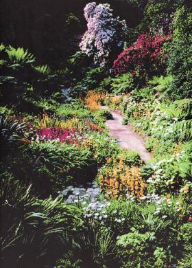 Part of Trebah Gardens restored by Tony & Eira Hibbert
