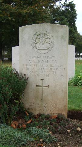 A.  Llewellyn 