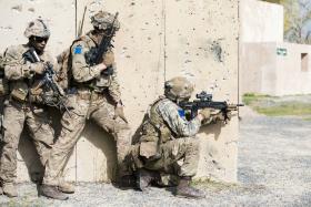 Rattlesnake brings together British and US paratroopers 