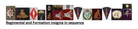Insignias associated with Lt Col Gore's service