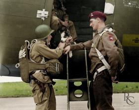 Colourised version of Lt John Timothy with a US Paratrooper from the 2nd/503rd and their mascot Smokey, September 1942