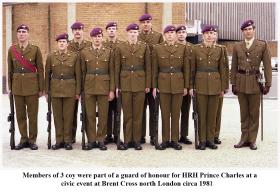 Members of 3 Coy Guard of Honour for HRH Prince Charles, Brent Cross Civic centre C1981