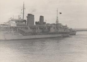 Empire Parkeston, Port Said 1956