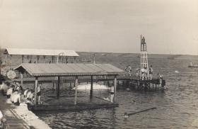 Swimming Port Said Nov 1956 