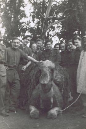 Members of 1st Para Bn pose with camel and handler. N. Africa 1942