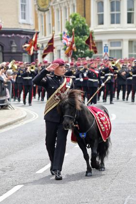 Pony Major Mascot, Aldershot, June 2022