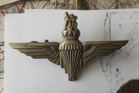 Wings Cap Badge