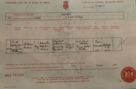 Pte HC Lane birth certificate