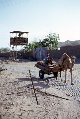 Camel passes through a check point Aden 1967