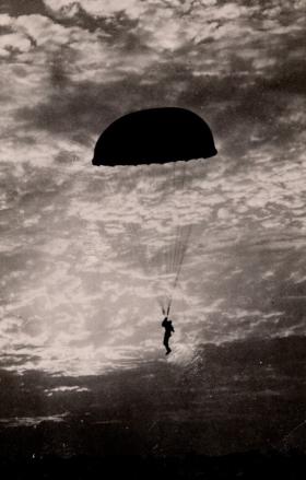 Parachute Jump at twilight