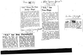 Collection of newspaper clippings (47/48) concerning Dickin Medals