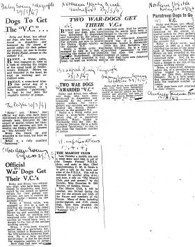 More Newspaper Clippings (1947) concerning Dickin Medals for Para Dogs