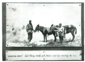Captain Fitzroy-Smith with mules searching the drop zone for Operation Hasty.