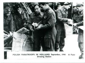 Polish paratroops in Holland at a field dressing station.