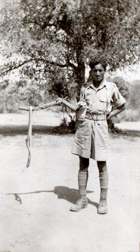 Soldier holds snake on stick, circa 1942