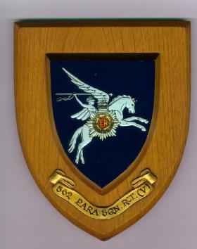 562 Para Sqn RCT (V) Wall Plaque