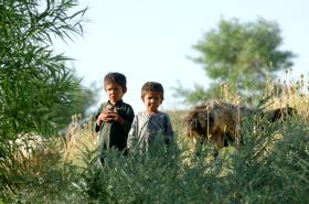 Children in Zabul, Afghanistan 2008