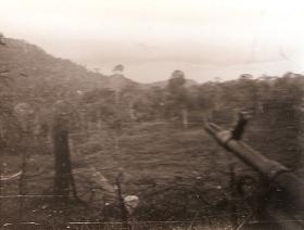 Looking out into the jungle from a paratroopers' gun position, Borneo, c.1965