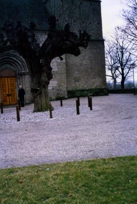 Mark Leaver beside the tree in the grounds of Oosterbeek Churchyard, 1996