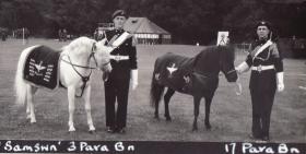 3 Para and 17 Para Mascots