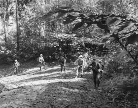 Soldiers of Guards Parachute Coy advance in a patrol team, Malaya, 1968.