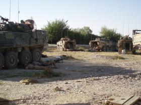 Canadian Armoured Infantry, Sangin, July 2006