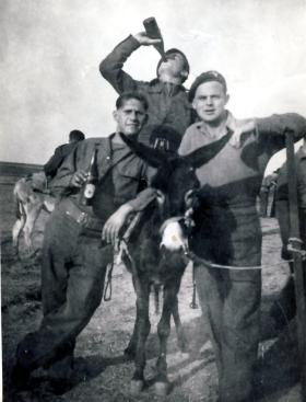 3rd Para Battalion Donkey Derby Gaza Xmas 1946