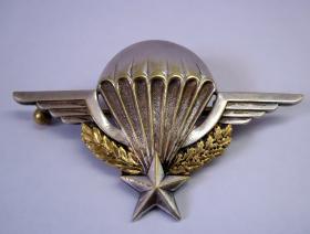 Sgt Jerry Griffin's French Wings, undated.