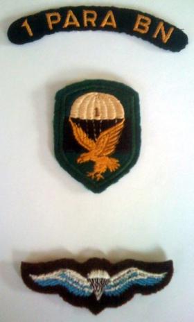 Insignia of The South African 1st Parachute Battalion