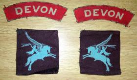 Insignia removed from Private Bristow's uniform.