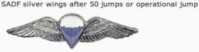 South African advanced paratrooper wings 50 jumps