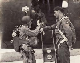 Lt John Timothy with a US paratrooper from 2nd/503rd and mascot, September 1942 