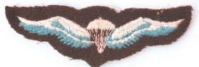 South African original wings cloth type, 1964