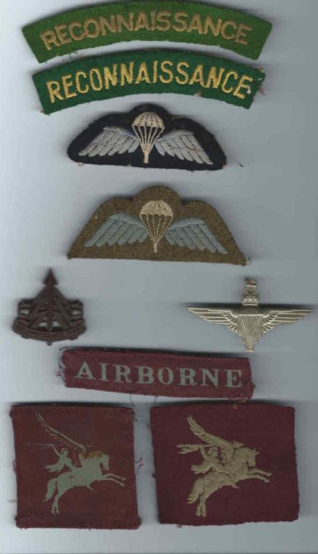 OS Insignia worn by Tpr F Silvester