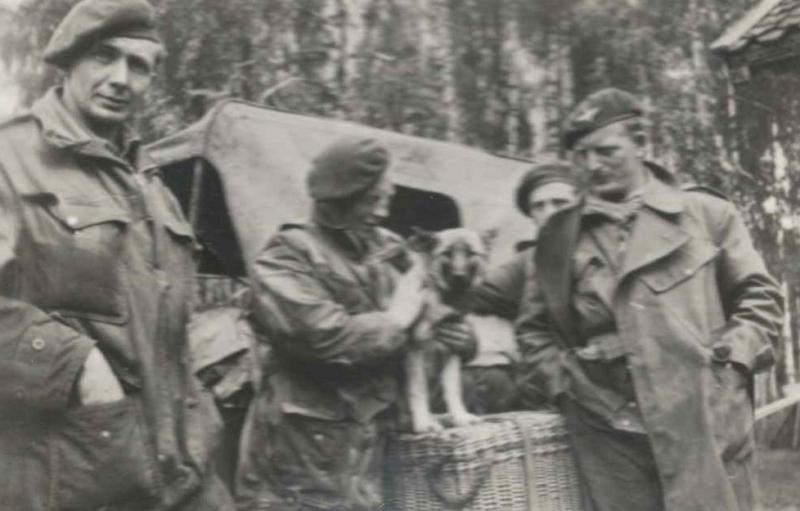 OS 3 Members of Silvesters unit with dog sitting on wicker pannier at the back of a jeep