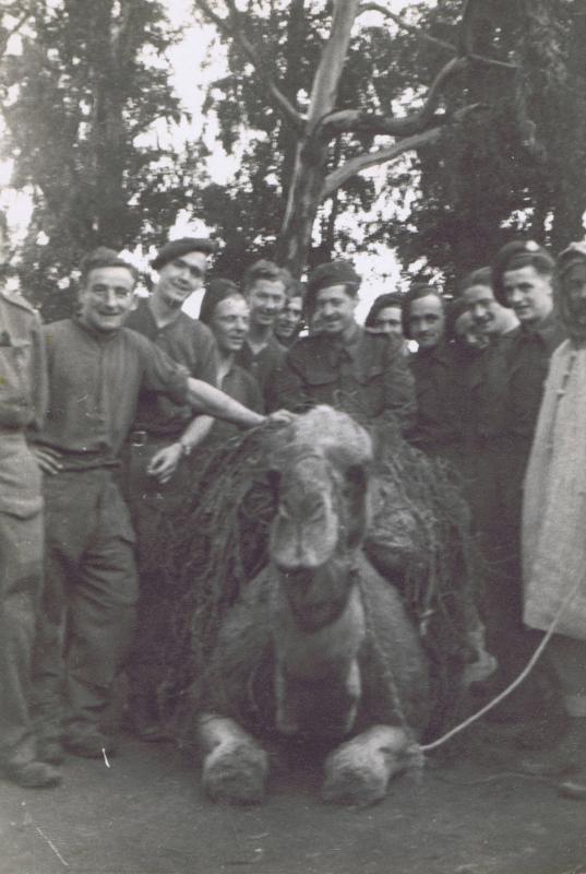 OS Members of 1st Para Bn pose with camel and it's handler. N. Africa 1942