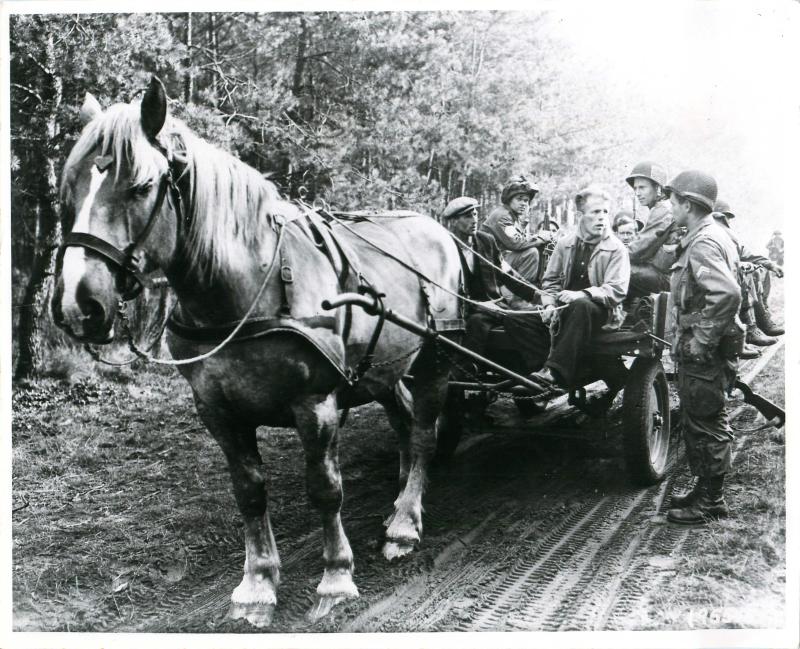 Men of 101st US Airborne Division on a horse and cart in Veghel.