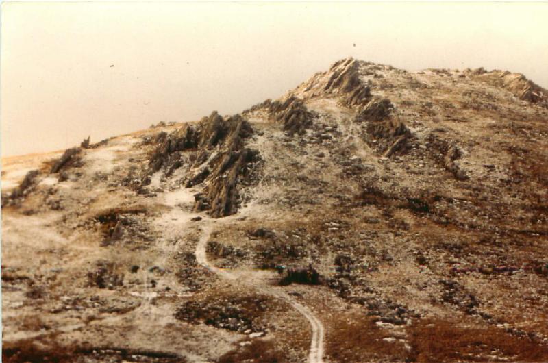 View of Mount Longdon.