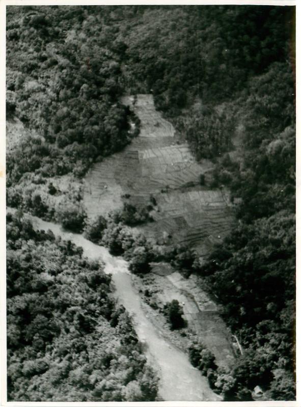 Drop zone in jungle clearing for exercise during operations in Malaya.