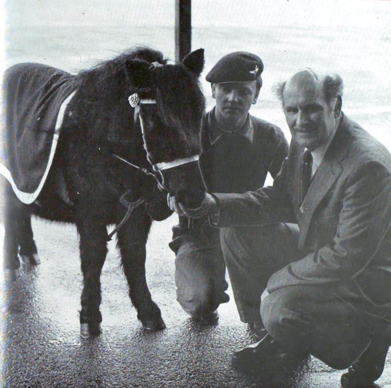 Tex Banwell presenting his gift of Pegasus to Pte S Mulholland, the Pony Major, 1977