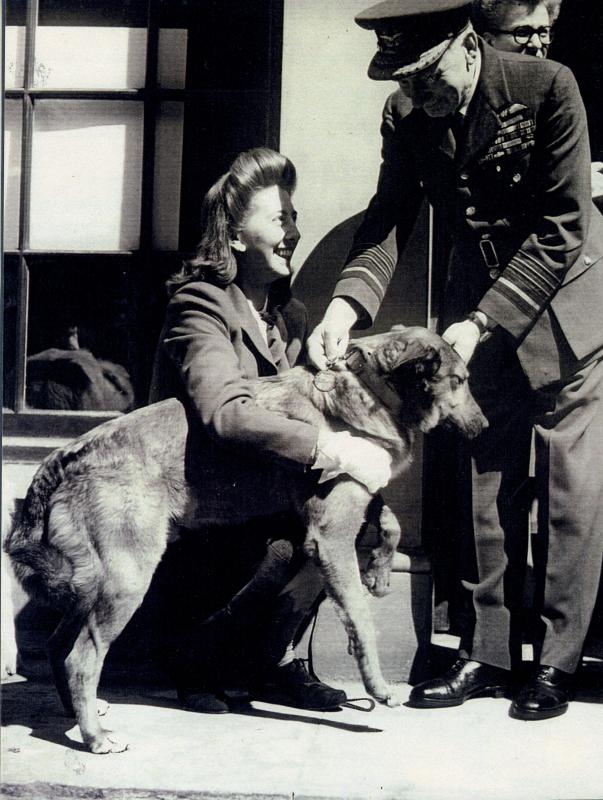 AA Betty Fetch and Brian receiving his PDSA Dickin Medal from Air Chief Marshall Sir Frederick Bowhill, 1947