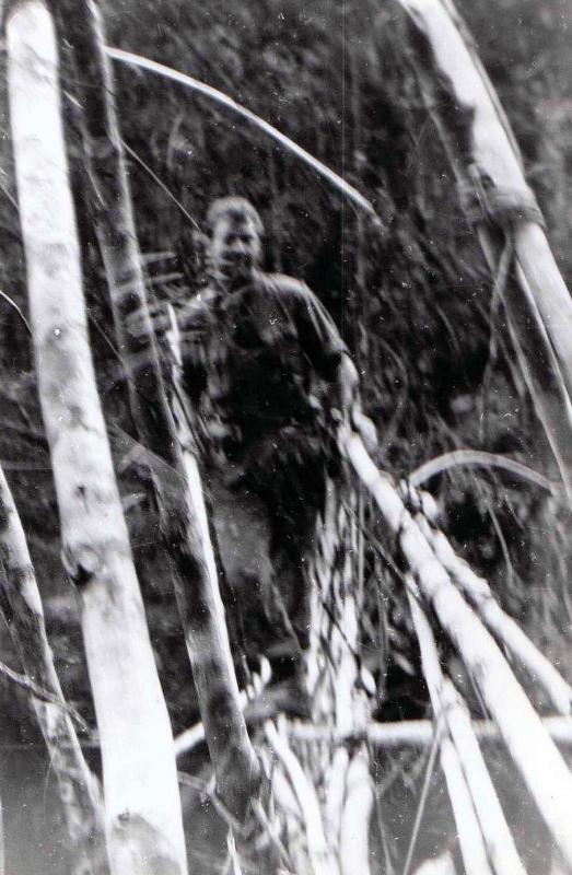 jungle bridge crossing, Sarawak, Borneo, 1964.  Peter Workman