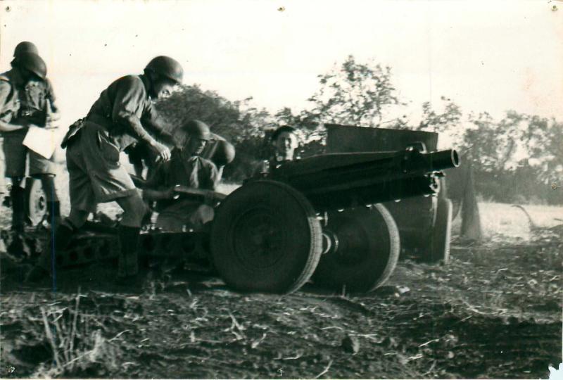 Members of Ist Airlanding Light Regiment RA with artillery.