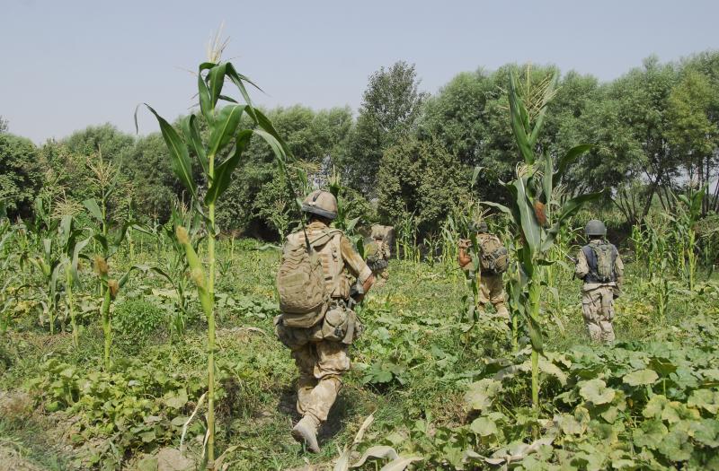 Soldiers of B Coy, 3 PARA patrolling through undergrowth in Musa Quelah, Afghanistan, August 2008